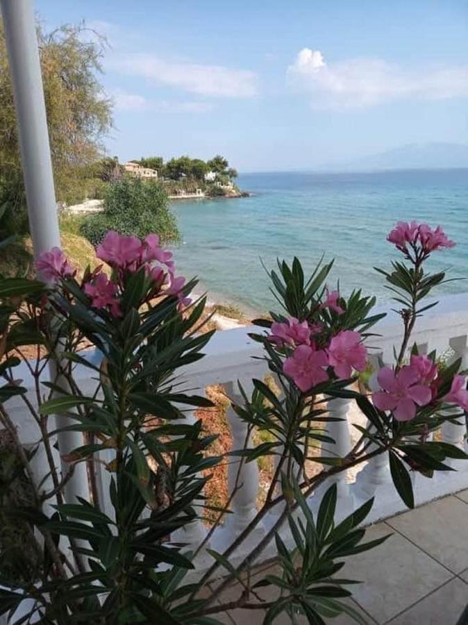 Clear Horizon Aparthotel Амуди Екстериор снимка