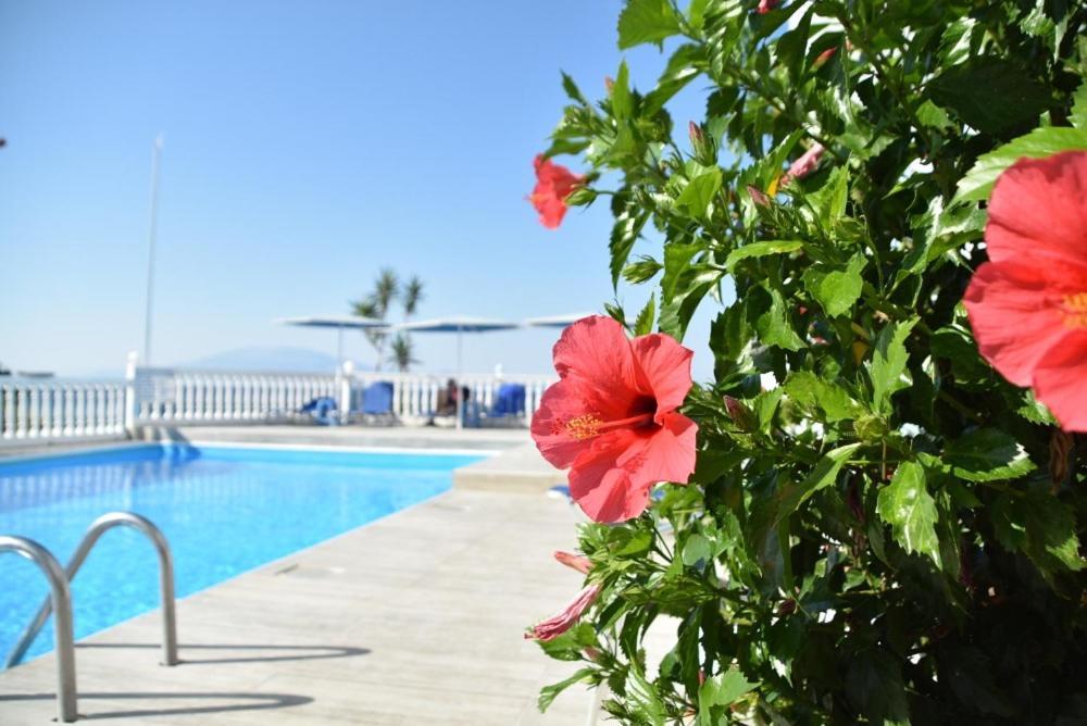 Clear Horizon Aparthotel Амуди Екстериор снимка
